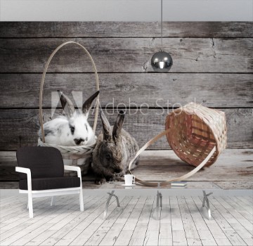 Picture of Rabbits on wooden background